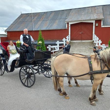 Hotell Eikerapen Gjestegard Aseral Fossdal Exteriér fotografie