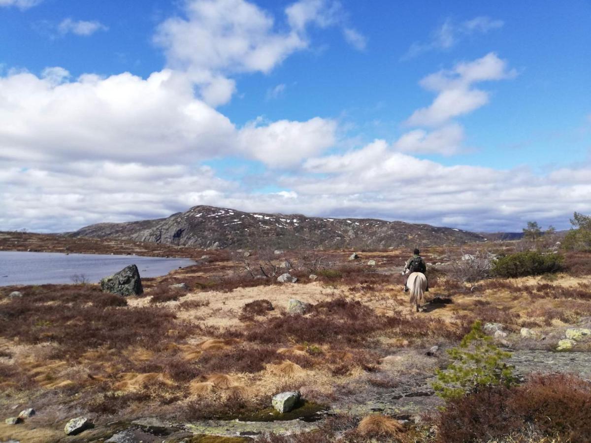 Hotell Eikerapen Gjestegard Aseral Fossdal Exteriér fotografie