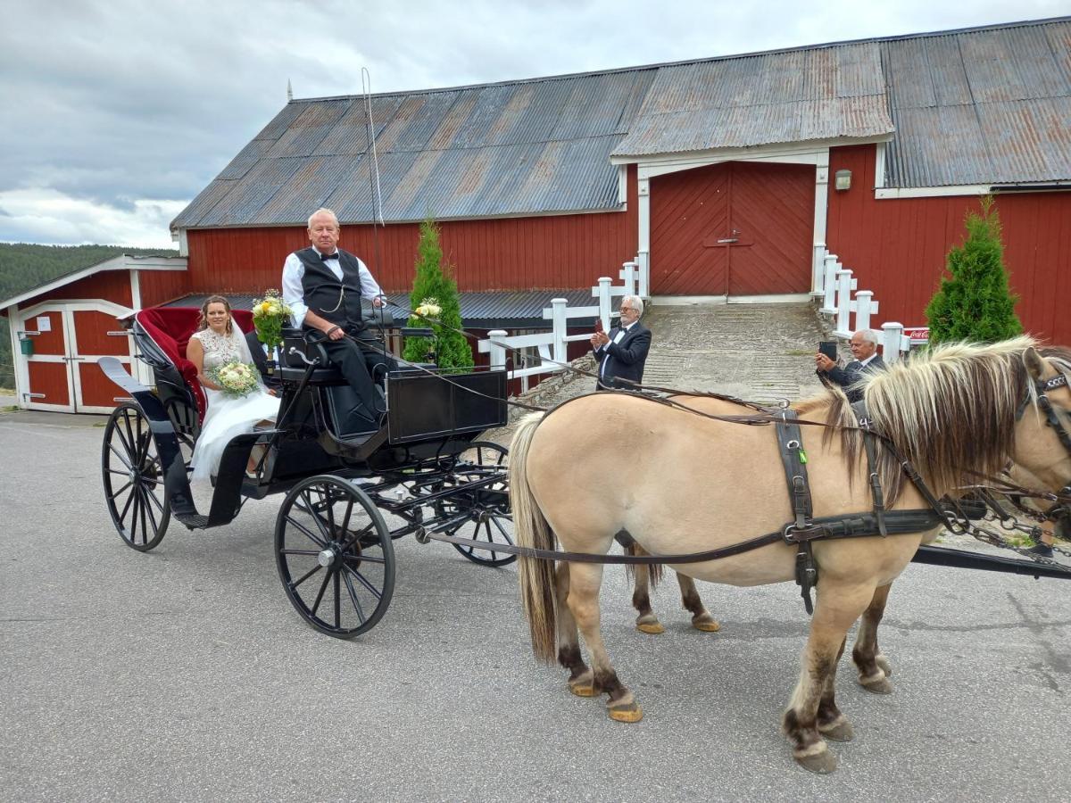Hotell Eikerapen Gjestegard Aseral Fossdal Exteriér fotografie