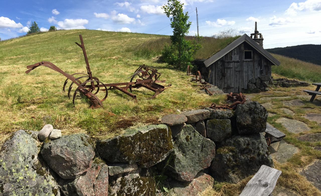 Hotell Eikerapen Gjestegard Aseral Fossdal Exteriér fotografie
